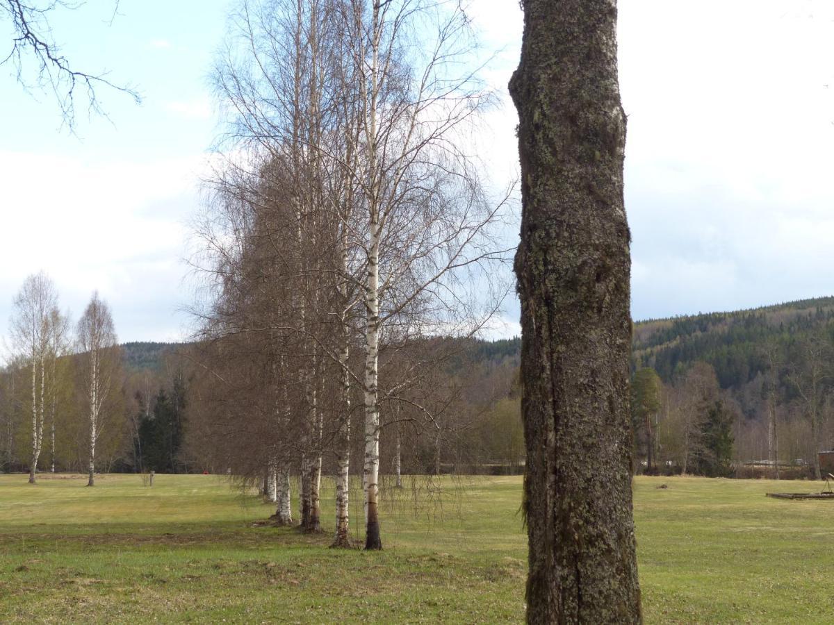 Ferienhaus Björkebo Stöllet Exteriör bild
